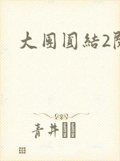 大团圆结2阅读