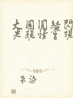 大团圆结闪闪发光亲情会视频封面