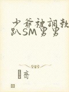 少爷被调教室跪趴SM男男封面