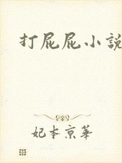打屁屁小说