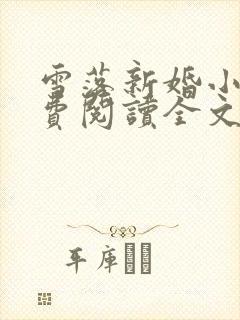 雪落新婚小说免费阅读全文封面