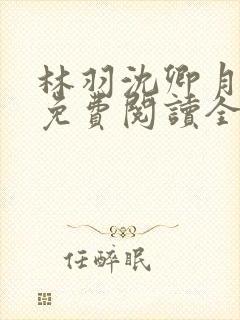 林羽沈卿月小说免费阅读全文封面