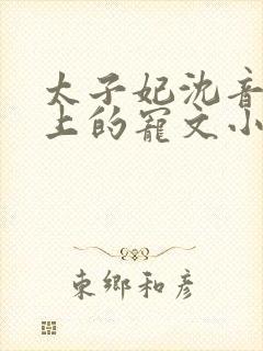 太子妃沈音和皇上的宠文小说