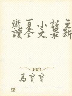 炽夏小说免费阅读全文最新章节封面