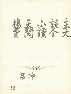 杨天小说主角免费阅读全文