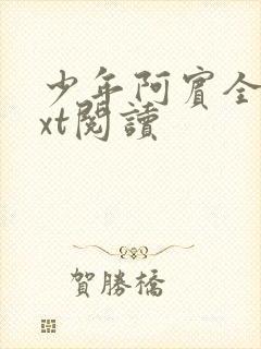少年阿宾全文txt阅读