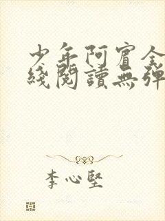 少年阿宾全文在线阅读无弹窗封面