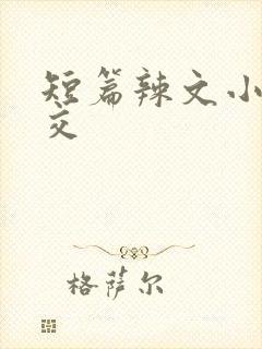 短篇辣文小说公交