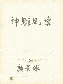 神雕风云