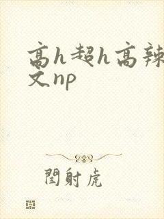 高h超h高辣h文np封面
