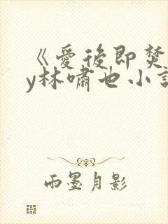 《爱后即焚》by林啸也小说在线阅读