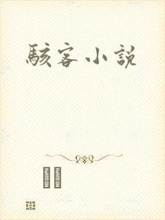 骇客小说
