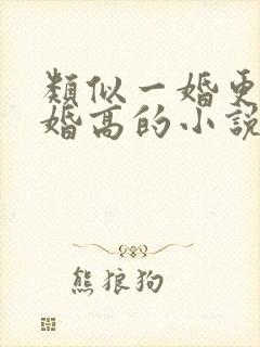 类似一婚更比一婚高的小说