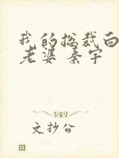 我的总裁白富美老婆 秦宇封面