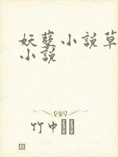 妖孽小说草莓酱小说封面