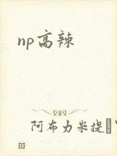np高辣