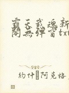 霸天武魂新笔趣阁无弹窗txt