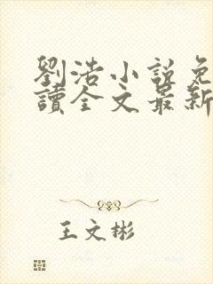 刘浩小说免费阅读全文最新网封面