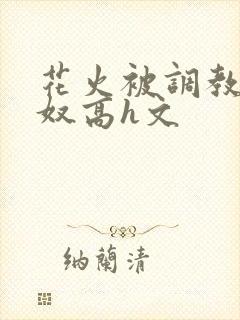 花火被调教成肉奴高h文