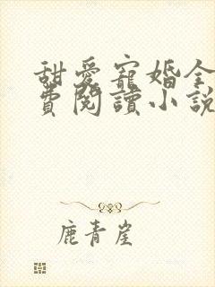 甜爱宠婚全文免费阅读小说封面