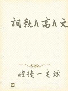 调教h高h文