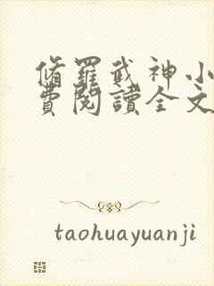 修罗武神小说免费阅读全文无窗口