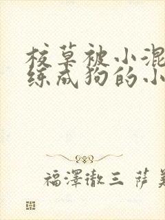 校草被小混混训练成狗的小说