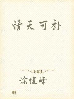 情天可补