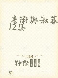 老卫与淑蓉1一12集