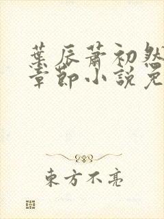 叶辰萧初然最新章节小说免费阅读