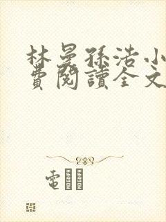 林曼孙浩小说免费阅读全文最新章节封面