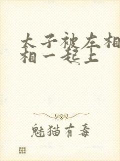 太子被左相和右相一起上
