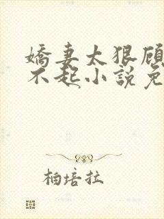娇妻太狠顾少惹不起小说免费阅读