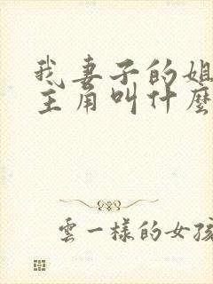 我妻子的姐姐女主角叫什么