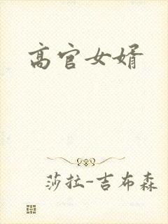 高官女婿