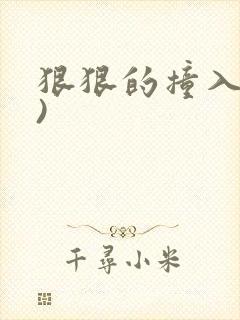 狠狠的撞入(h)