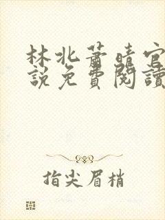 林北萧晴官场小说免费阅读