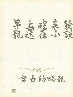 早上醒来发现巨龙还在小说