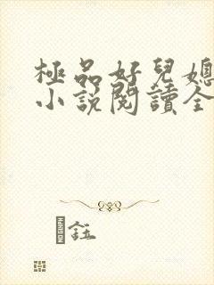极品好儿媳苏媚小说阅读全文最新章