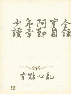 少年阿宾全文阅读章节目录封面