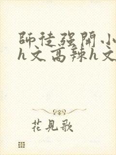 师徒强开小嫩苞h文高辣h文