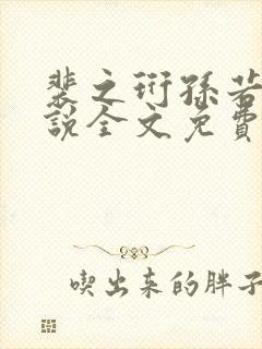 裴之珩孙若微小说全文免费阅读笔趣