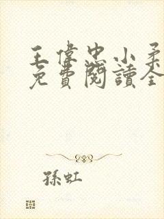 王伟忠小柔小说免费阅读全文下载