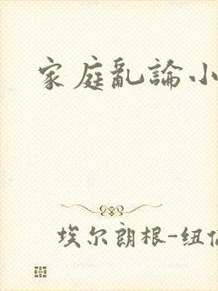 家庭乱论小说