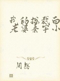 我的总裁白富美老婆秦宇小说正版