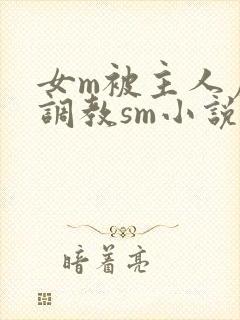 女m被主人虐玩调教sm小说