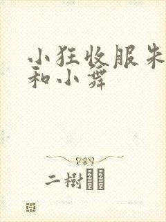 小狂收服朱竹清和小舞