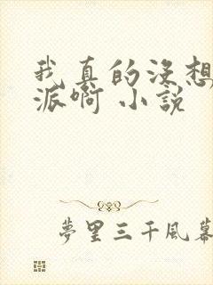 我真的没想当反派啊 小说