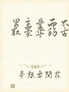 男主爱而不得强取豪夺的古言小说封面