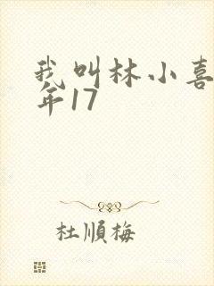 我叫林小喜 今年17